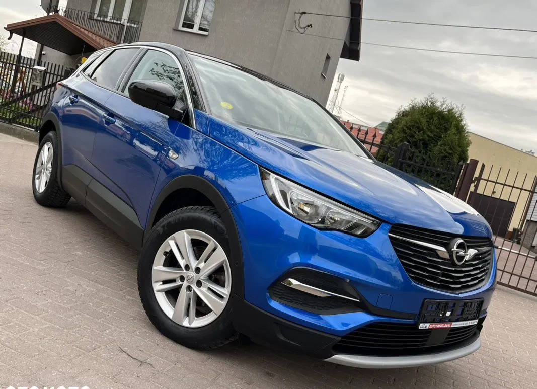 działdowo Opel Grandland X cena 61900 przebieg: 173555, rok produkcji 2018 z Działdowo